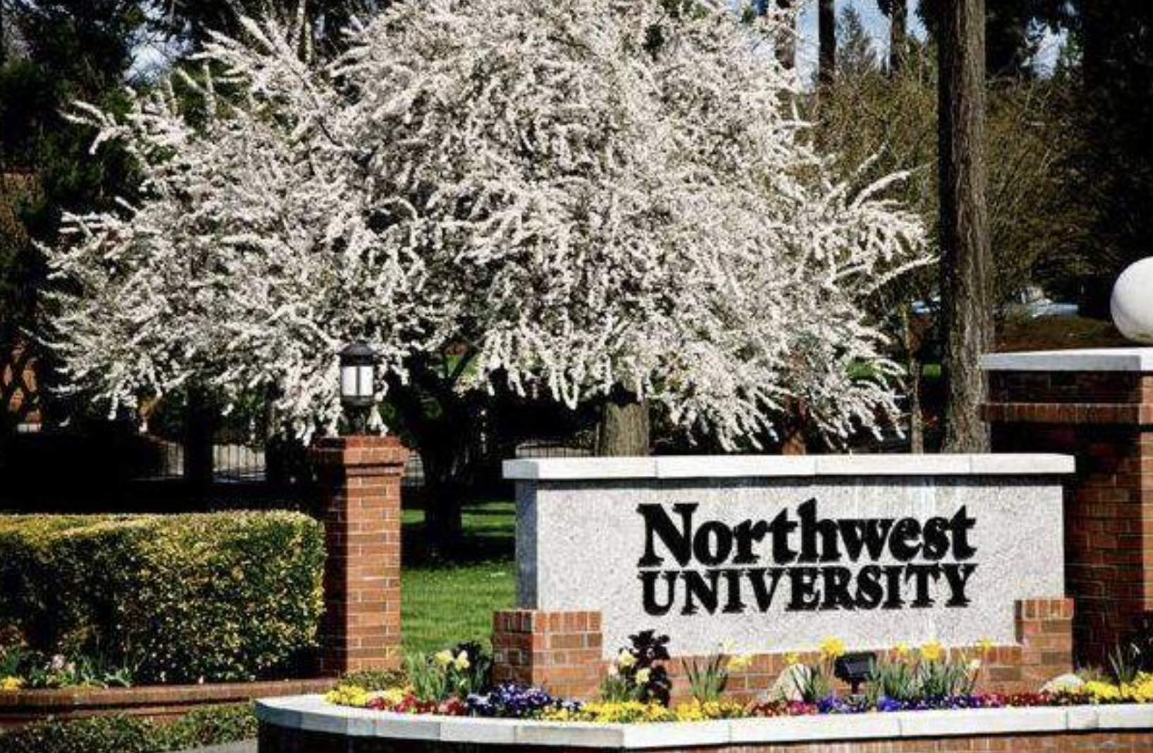 Northwestern University Students Success